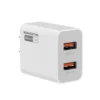 SOMOSTEL SMS-A19 Dual-USB 10W Wall Charger Kit -1